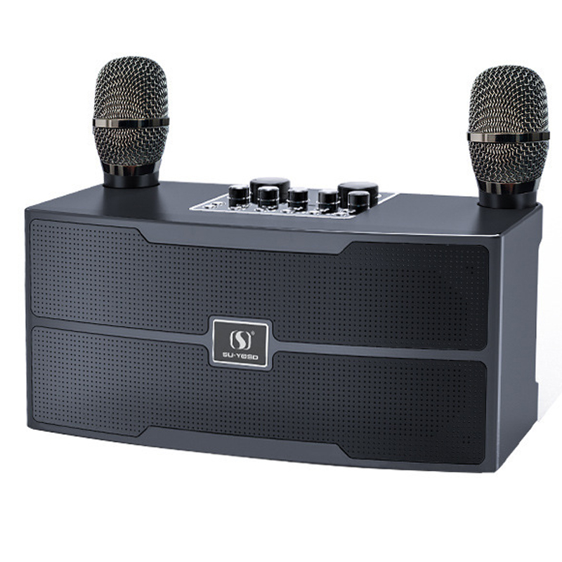 120W 고출력 무선 휴대용 마이크 블루투스 스피커 사 - Audio X Music 리뷰 및 가격